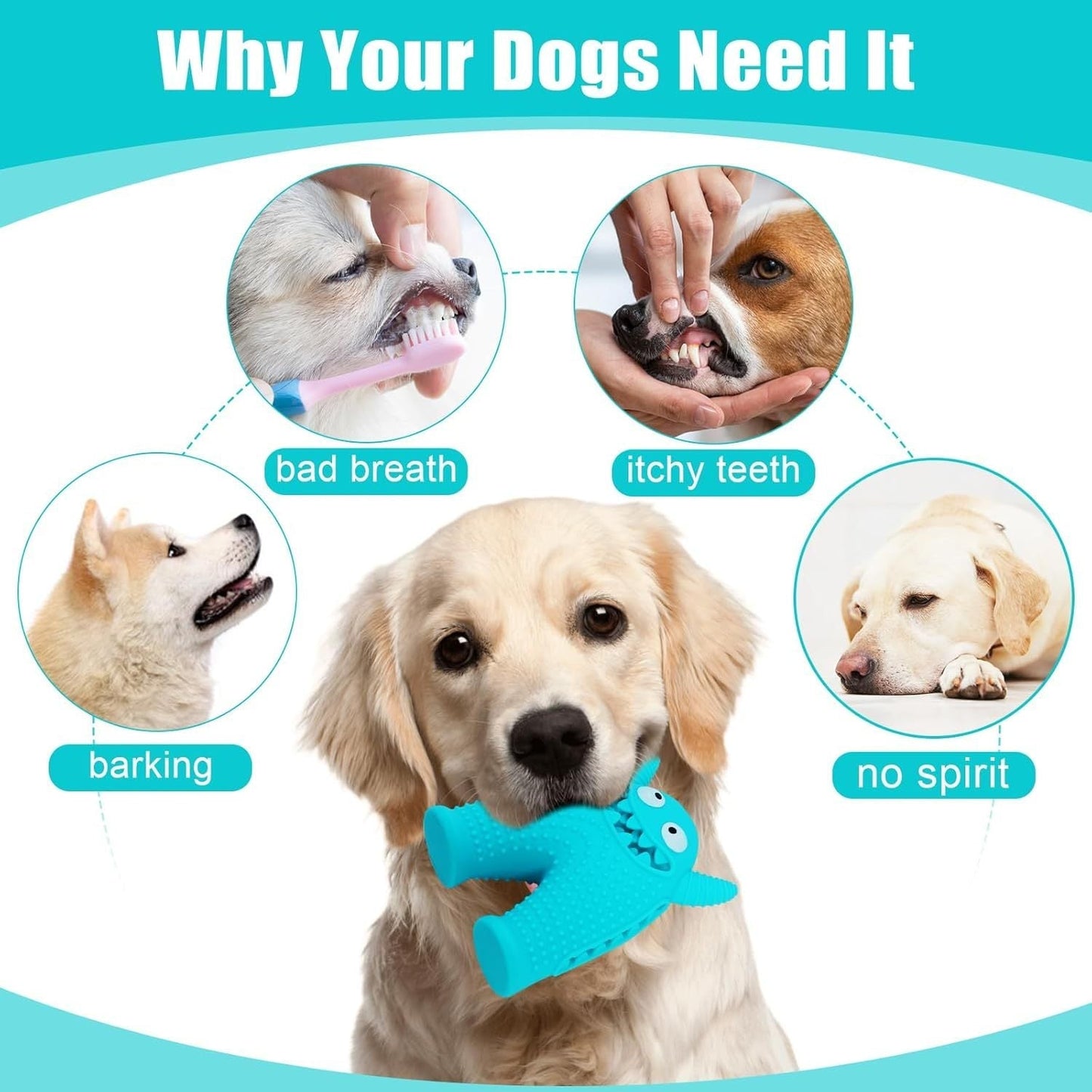 Natural Rubber Toys for Dogs with Squeaky 