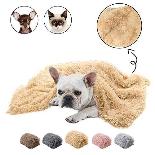 Plush Pet Double Blanket