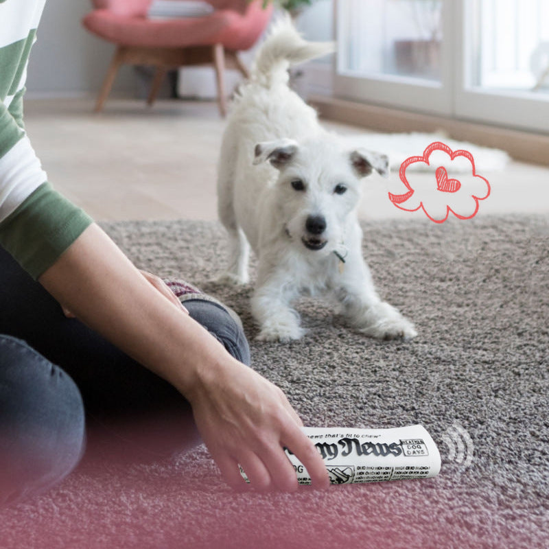 Crushing Newspaper Chew Training Toys