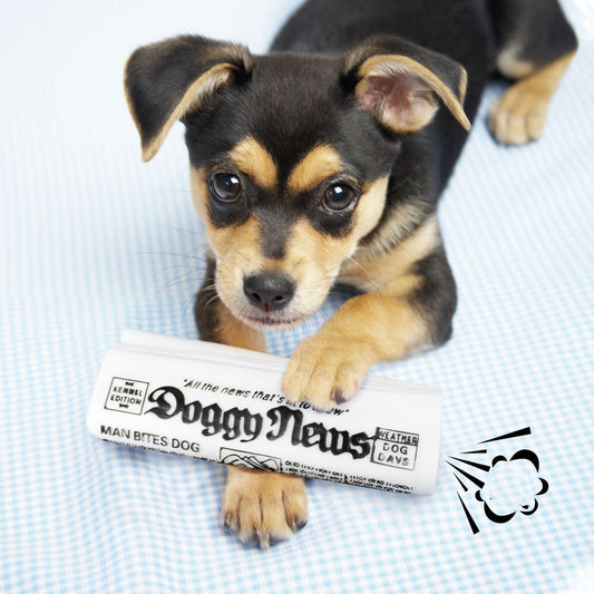 Crushing Newspaper Chew Training Toys