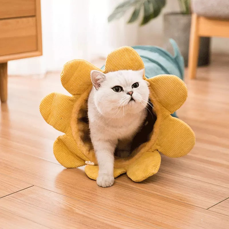 Creative Fruit Funny Cat Tunnel Toys