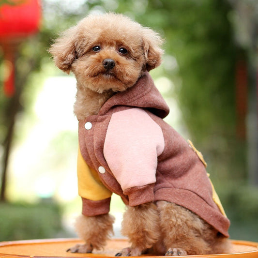 Dog-Cat Hat Sweatshirt.