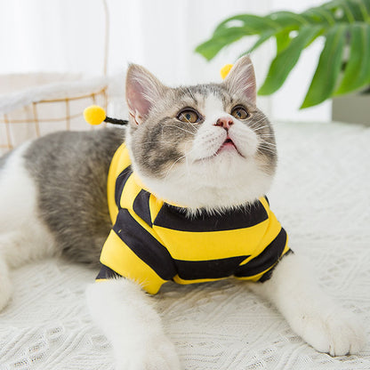 Bees Transformed Pet Clothes