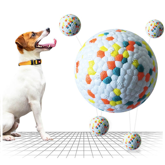 Interactive Dog Molar Ball Toy