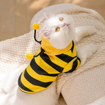 Bees Transformed Pet Clothes