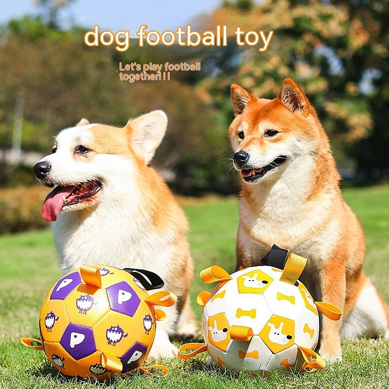 Interactive football toys for dogs