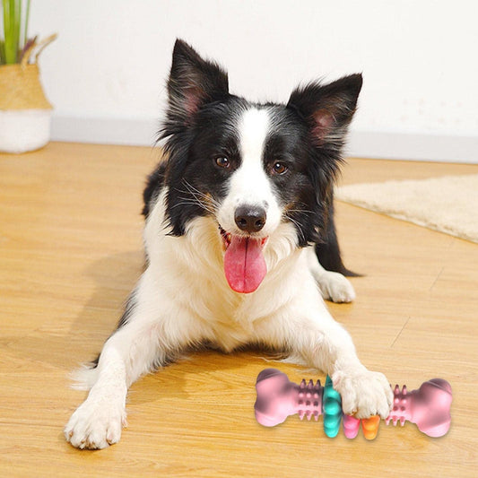 Bone Shaped Bite Resistant Thick Chip Toy