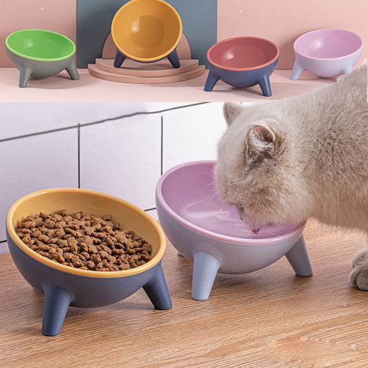 Food Bowl with Stand