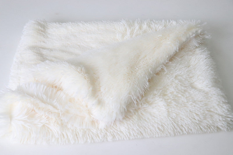 Plush Pet Double Blanket