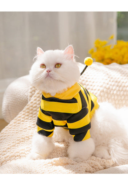 Bees Transformed Pet Clothes