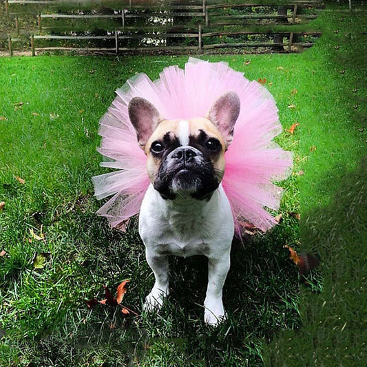 Pet Tutu Skjørt