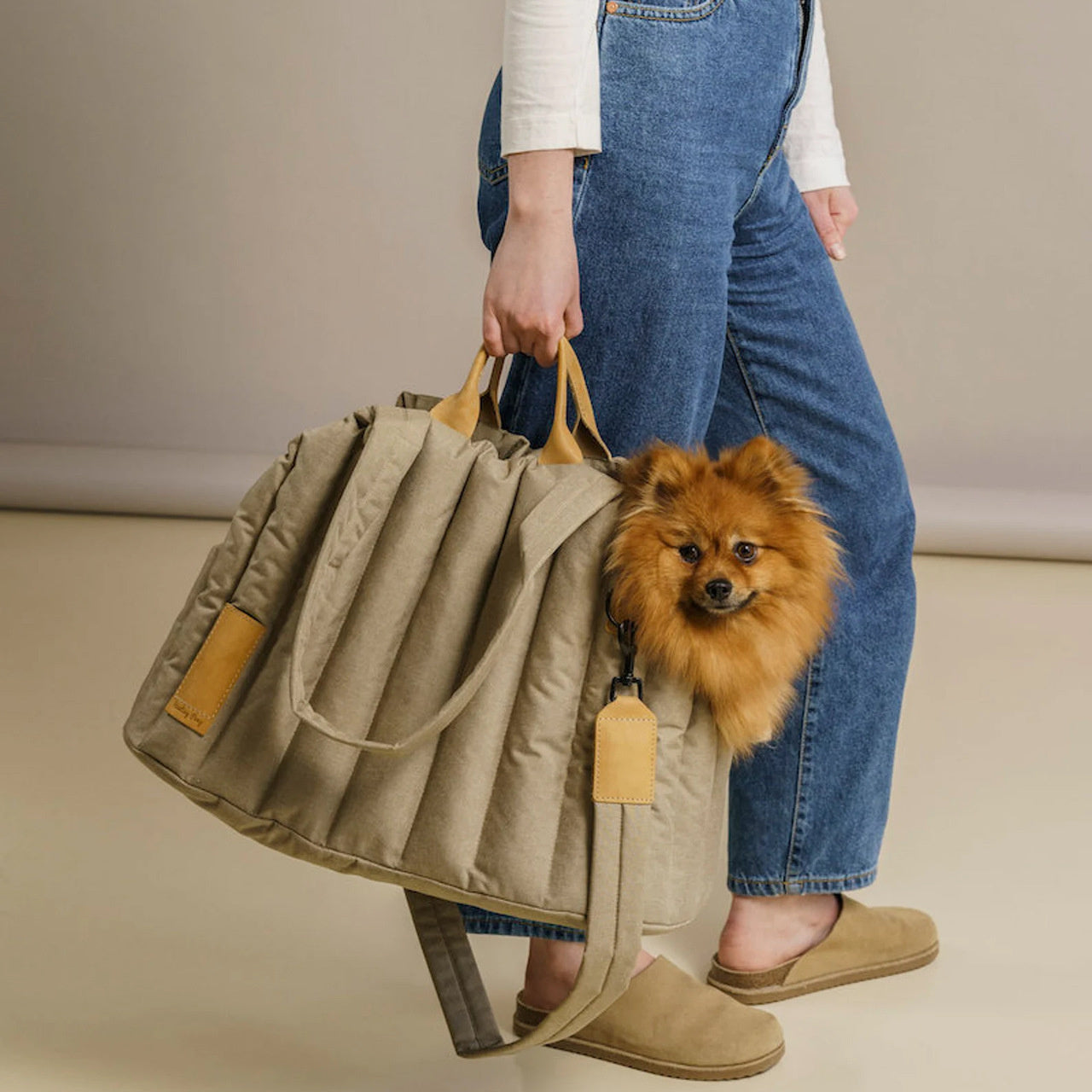 Portable Dog Bag