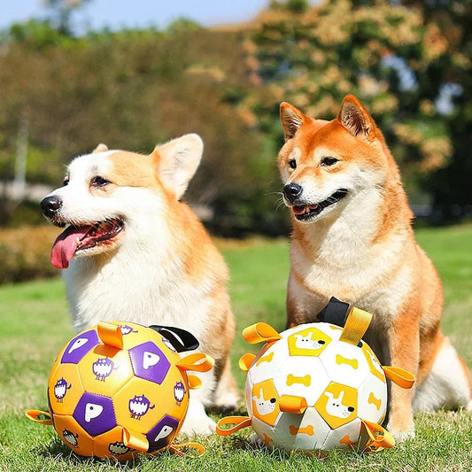 Interactive football toys for dogs