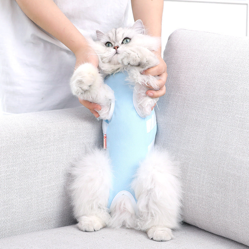 Summer Pet Costume