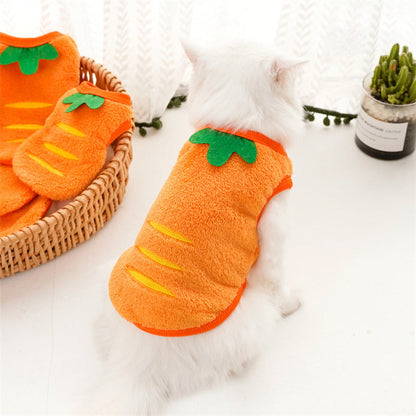 Warm Carrot Clothes 