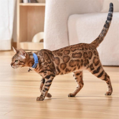 Laser Collar for Cat