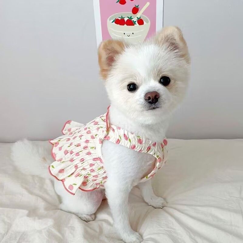 Pet Summer Halter Skirt