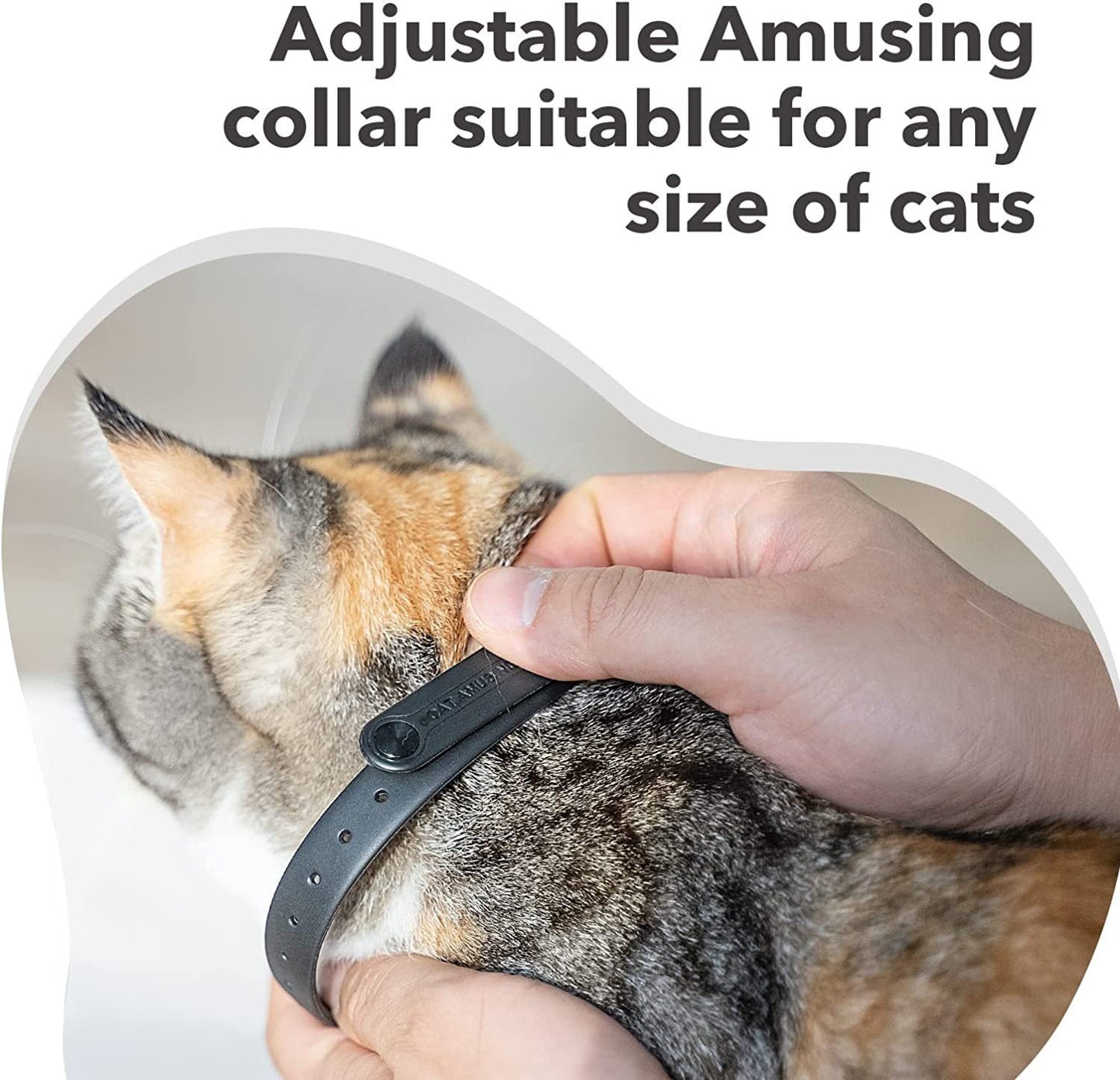 Laser Collar for Cat