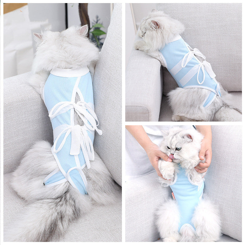 Summer Pet Costume