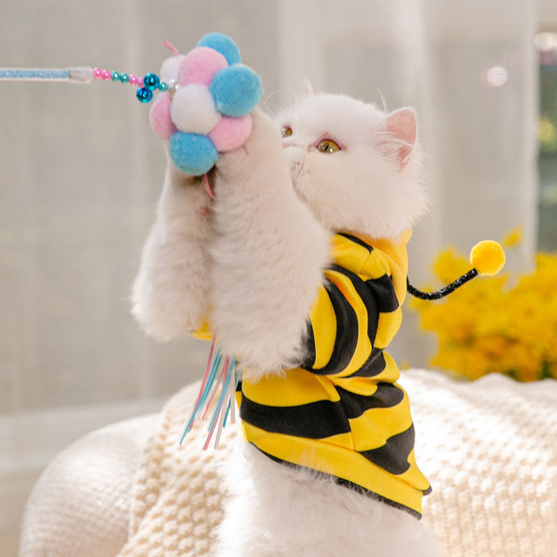 Bees Transformed Pet Clothes