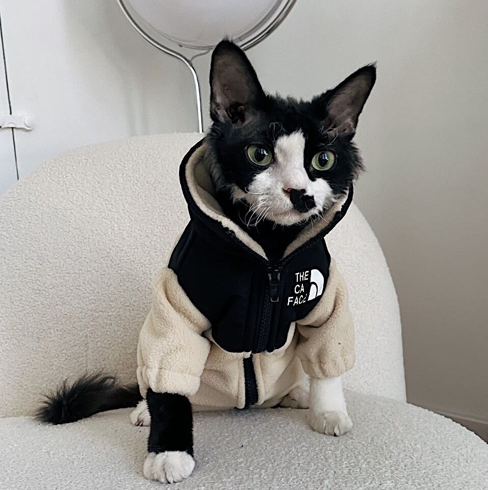 Warm Pet Cat Clothes