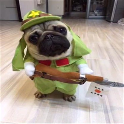 Creative Funny Pet Clothes