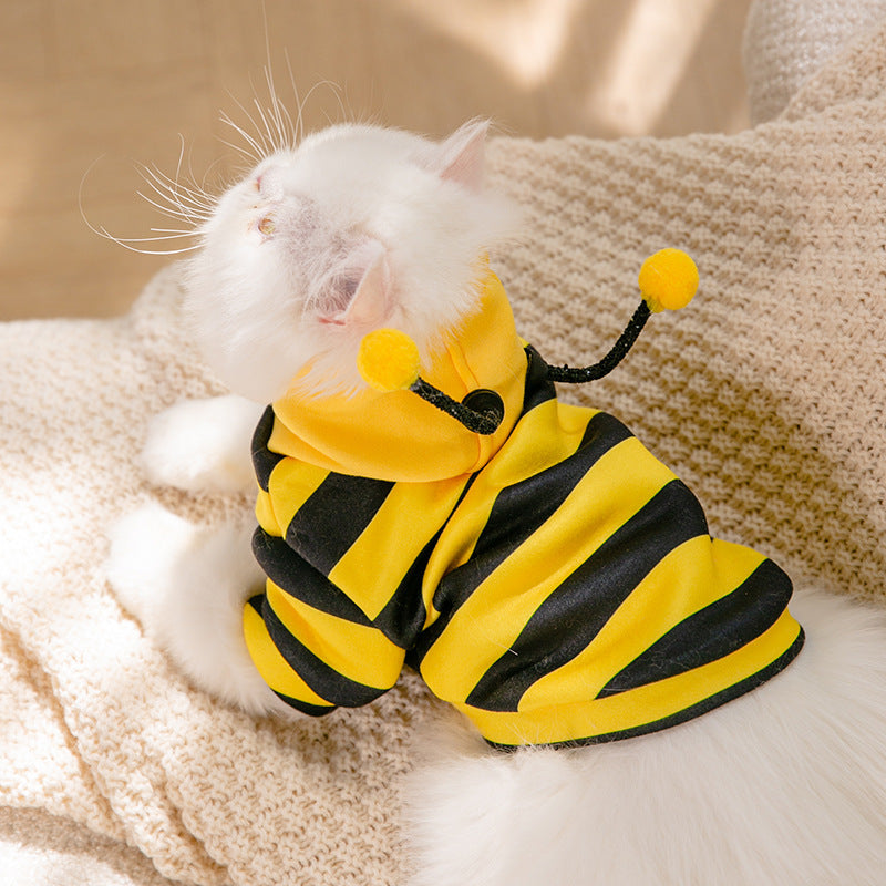 Bees Transformed Pet Clothes