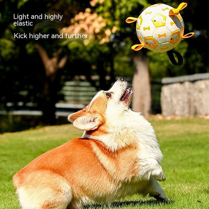 Interactive football toys for dogs